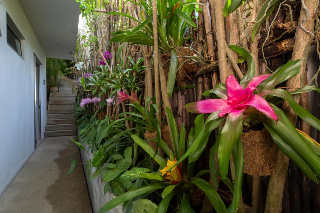 Hotel Anjali Casa Divina Sayulita Exteriér fotografie