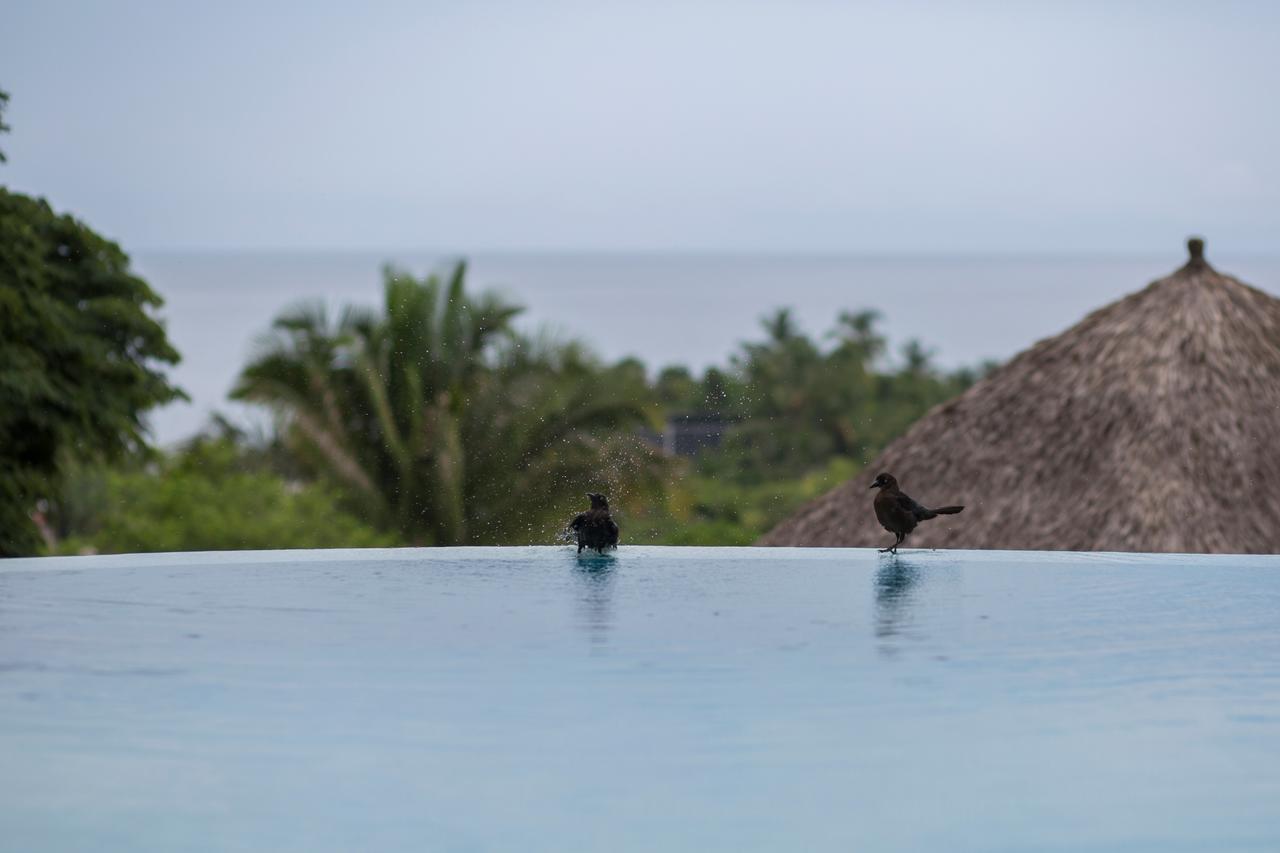 Hotel Anjali Casa Divina Sayulita Exteriér fotografie